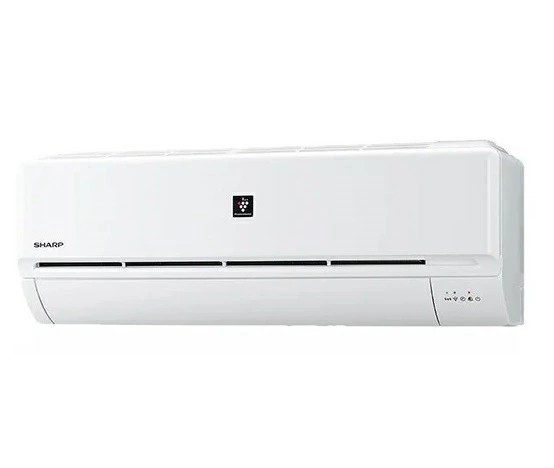 photo1