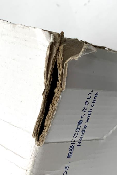 photo1