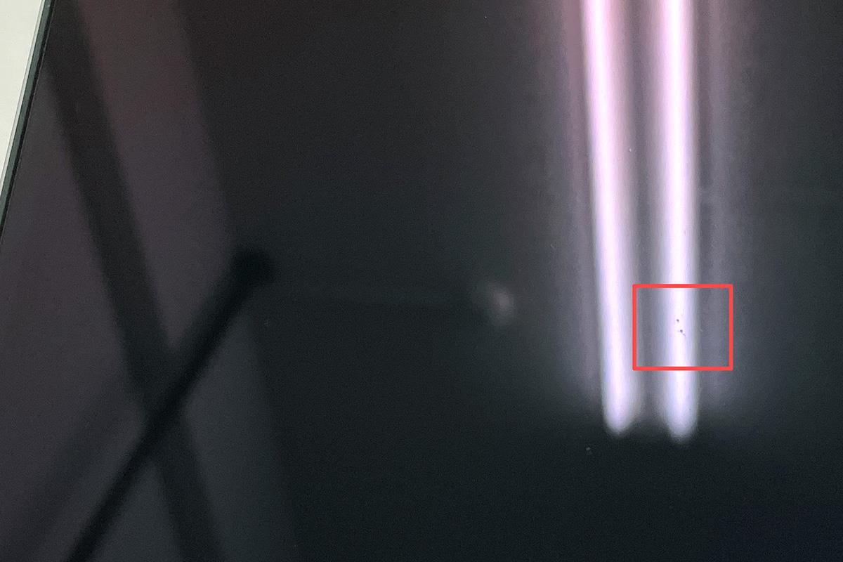 photo1