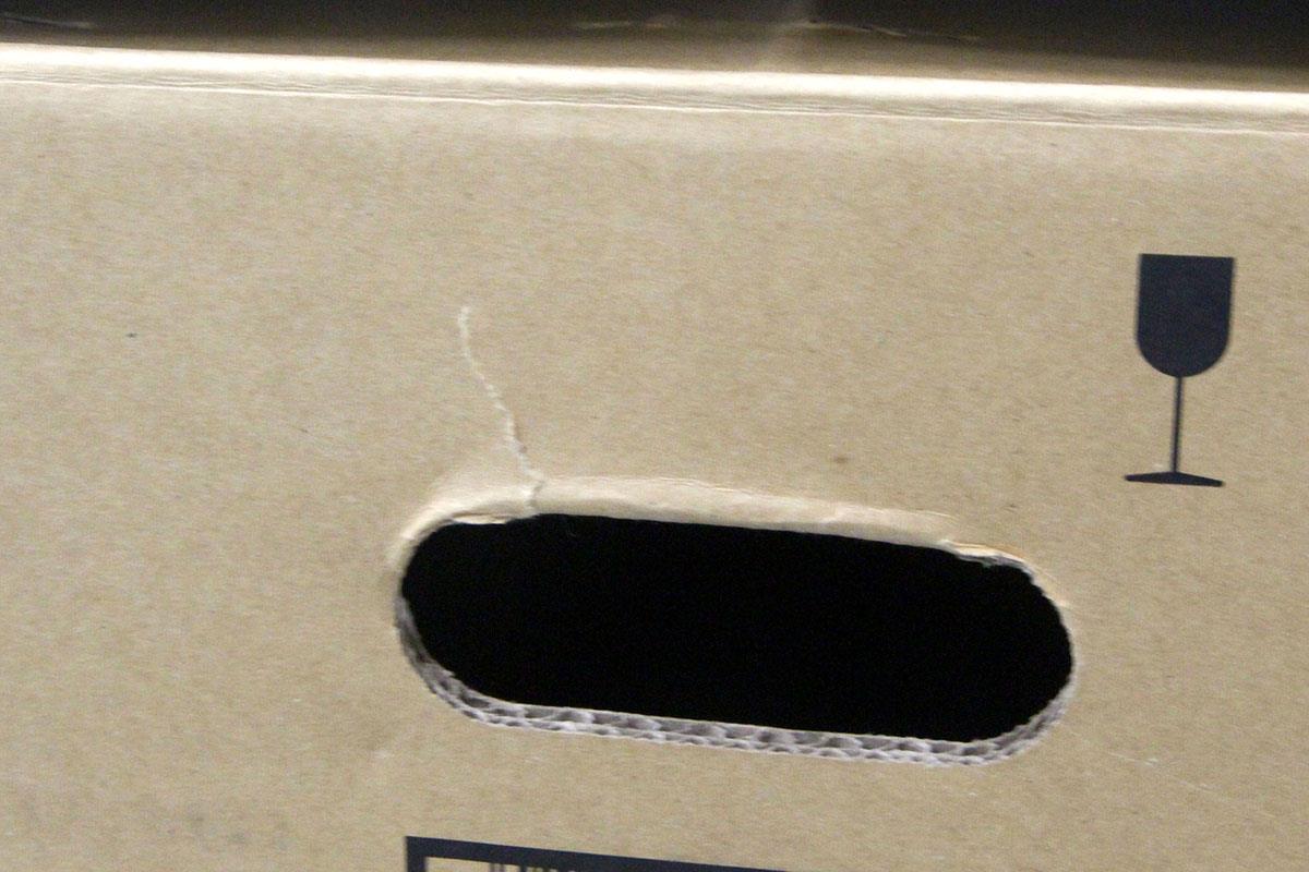 photo1