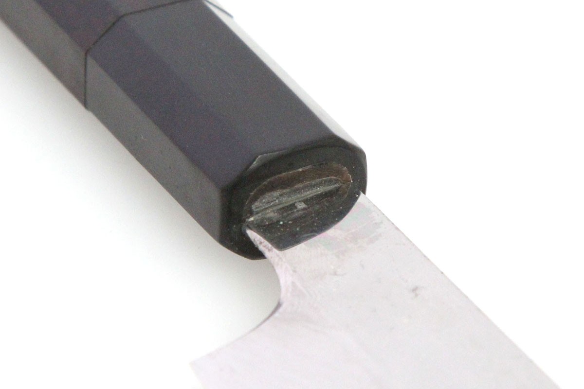photo1