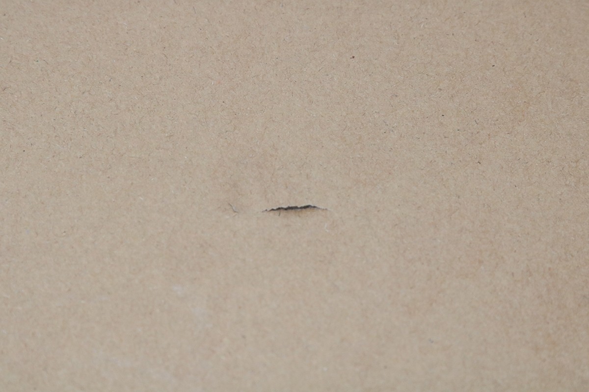 photo1