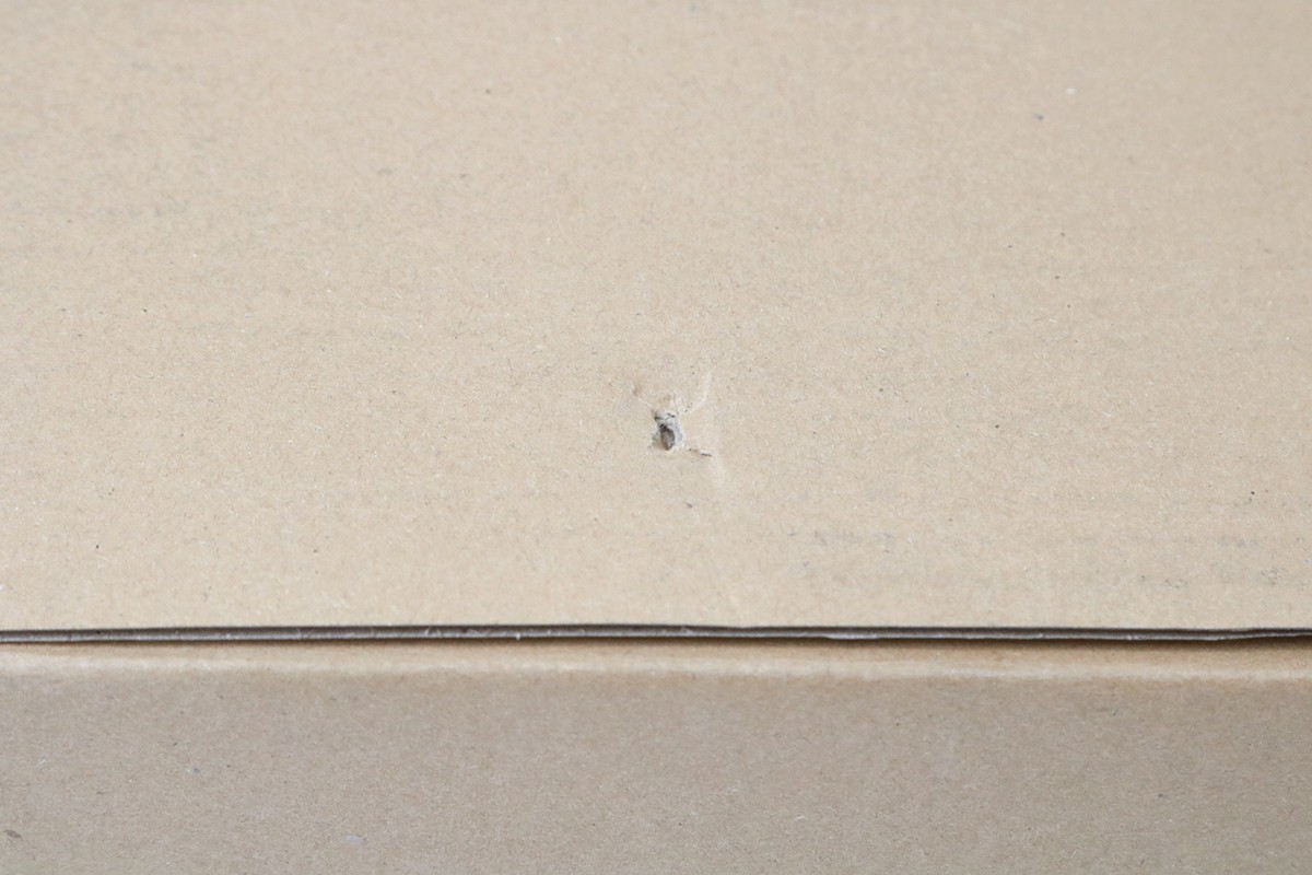 photo1