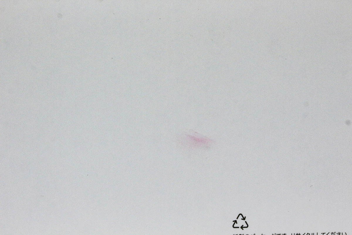 photo1