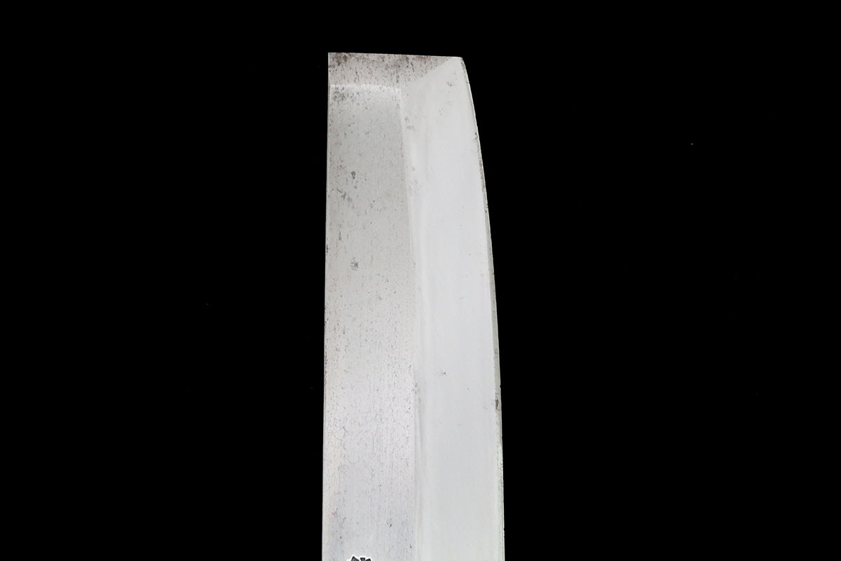 photo1