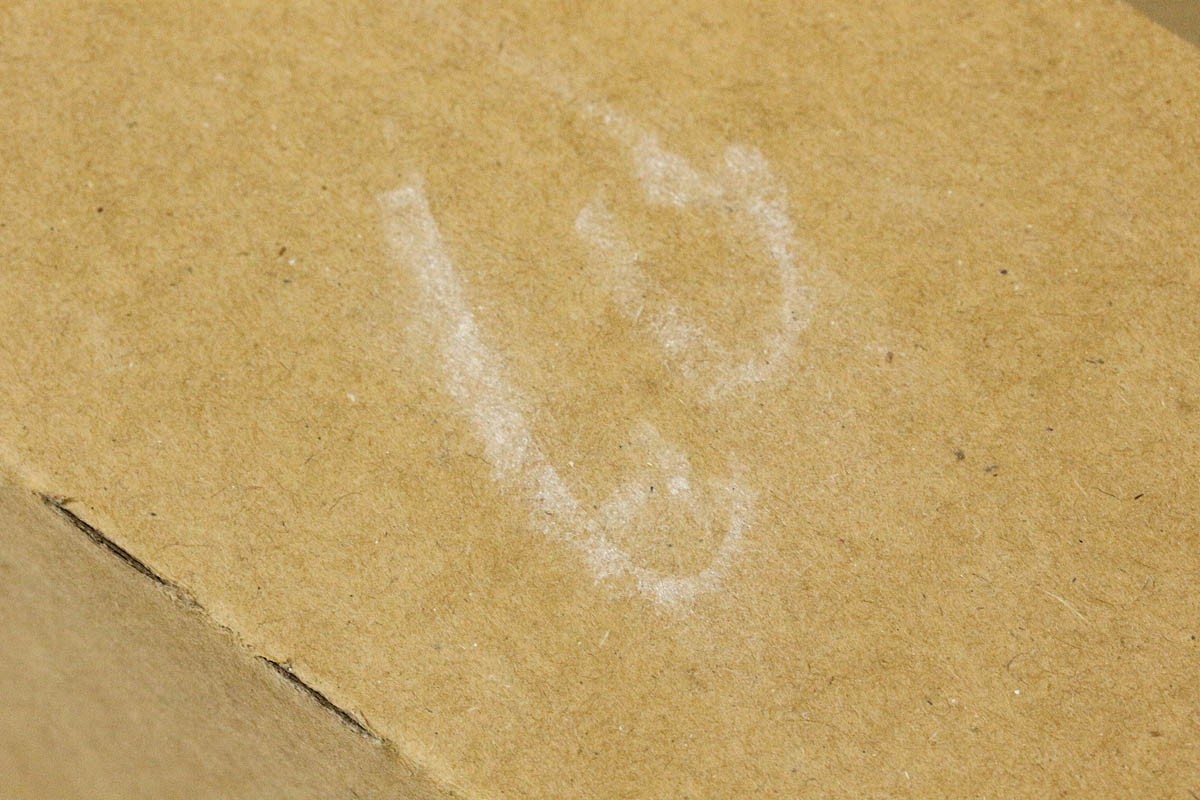 photo1