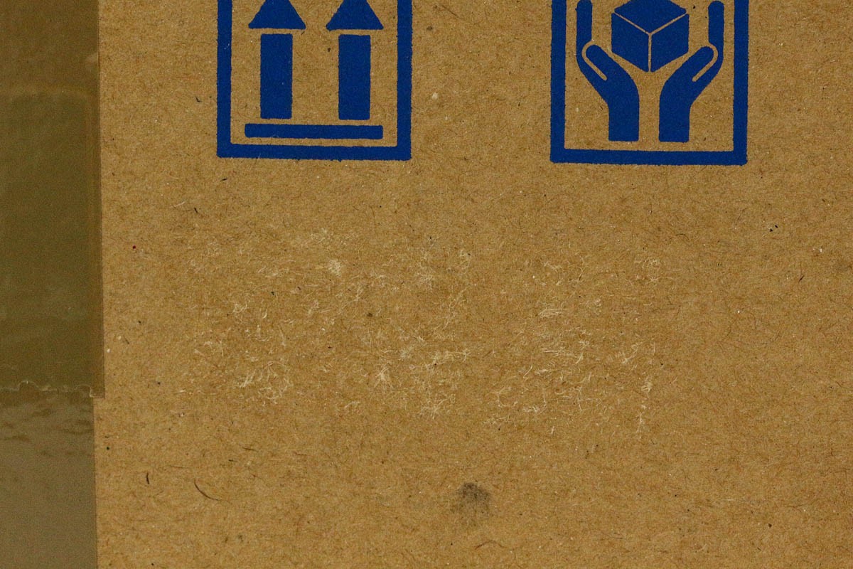 photo1